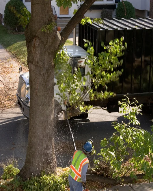 A team member completing emergency tree service in Lakeway, TX