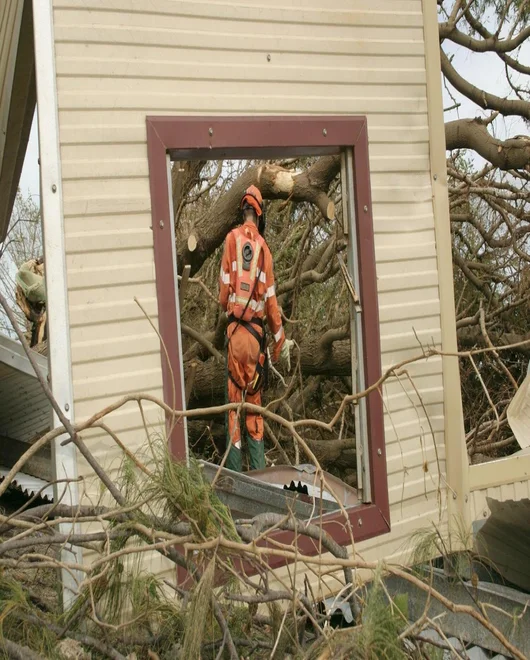 A team member during emergency tree service in New Braunfels, TX