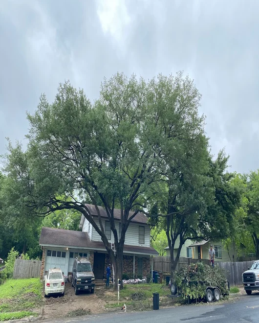 A house during emergency tree service in San Antonio, TX