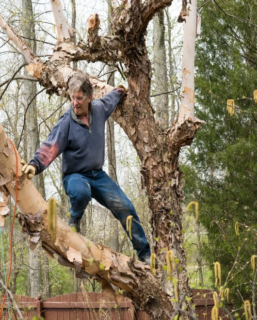 A team member during emergency tree service in Spicewood, TX