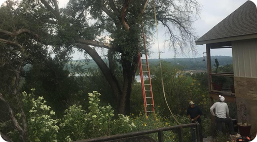 A yard during a line clearing in Austin, TX