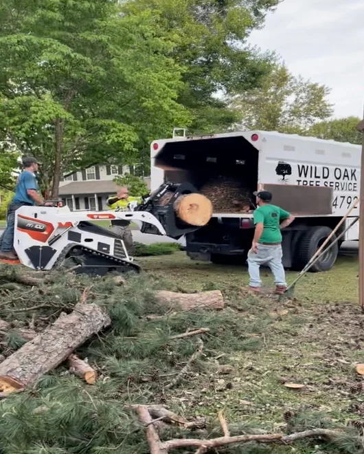 A truck during a line clearing in Killeen, TX