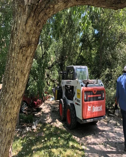 A lot during line clearing in New Braunfels, TX