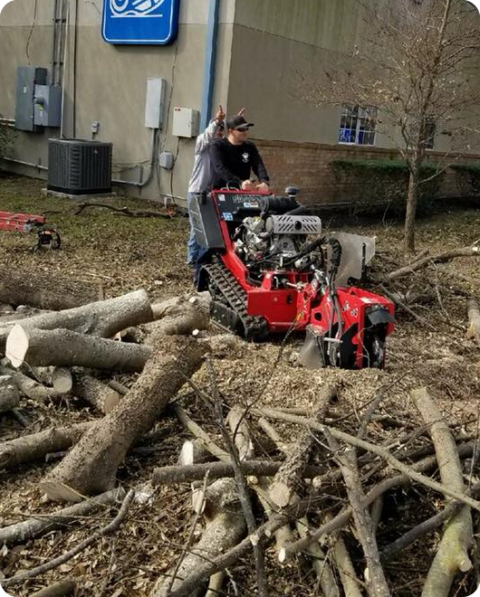 A stump grinding in Georgetown, TX