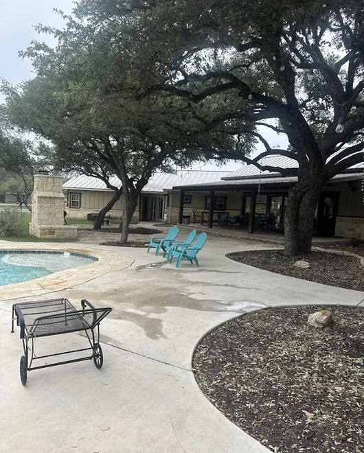 Trees before disease prevention service in Spicewood, TX