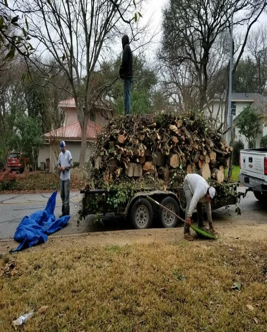 A truck after tree removal in New Braunfels, TX