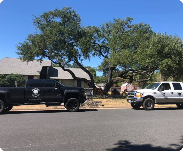 Trucks after tree service in Georgetown, TX